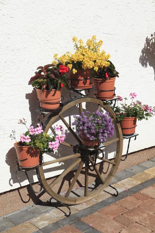 Guest house Haus Seebach